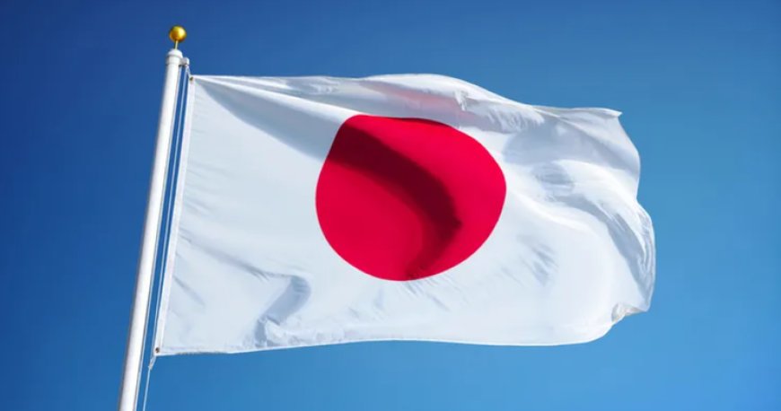 Japan scraps ‘Africa Hometown’ project after visa confusion
