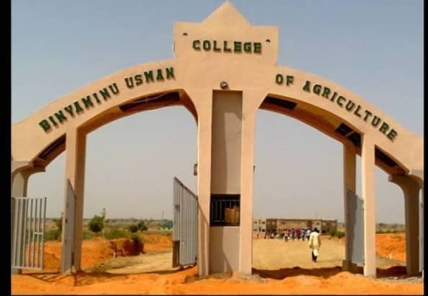 Gunmen attack Jigawa poly students