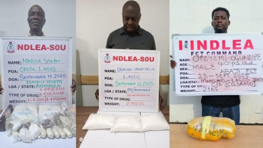 NDLEA arrests two drug kingpins in Lagos, seizes cocaine, heroine