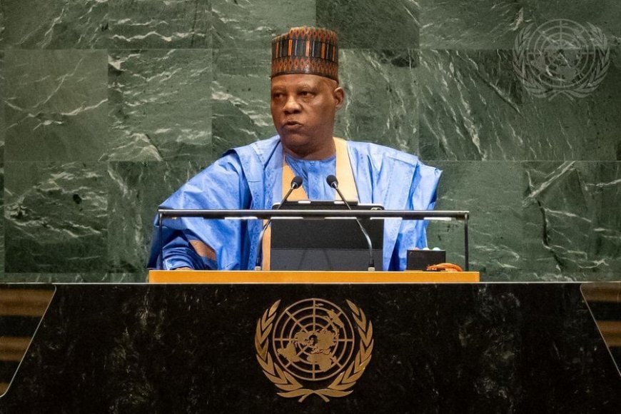Tinubu to engage Nigerians in diaspora, says Shettima