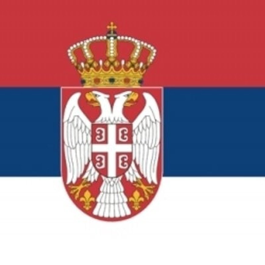 Serbian police arrest 11 for placing pigs’ heads at French mosques