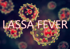 Lassa Fever: 895 confirmed cases, 166 deaths recorded so far in 2025 – NCDC