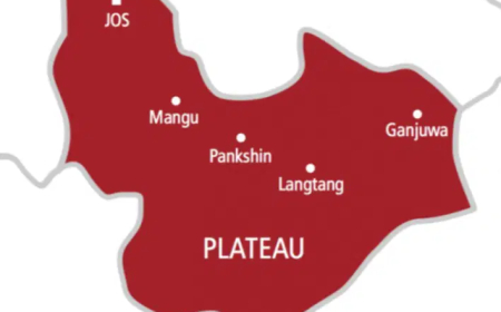 Plateau communities raise alarm over renewed killings in Mangu