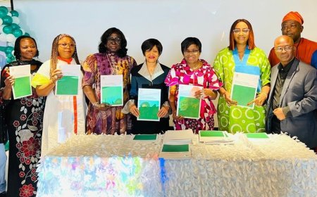 NAFDAC gives Nigerian food companies 18 months to cut trans fats