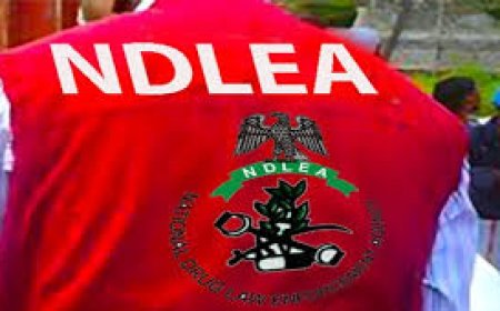 Residents panic as NDLEA officers chase driver