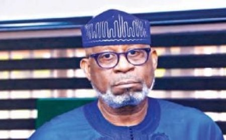 Leverage mineral wealth for industrial growth, Alake urges African leaders