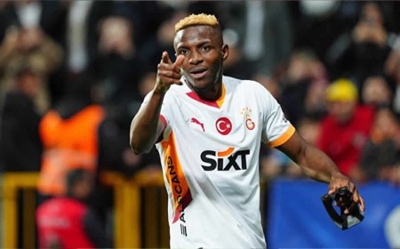 Fans defend Osimhen after neck-grabbing brawl