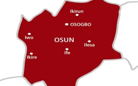 How Osun Amotekun shot two siblings dead – Stepmother