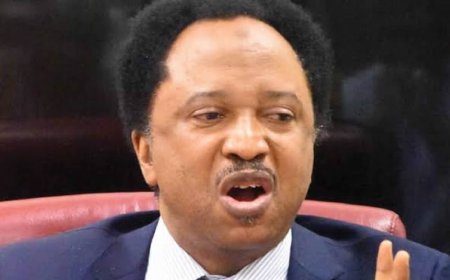 Secondary school certificate enough for political office – Shehu Sani