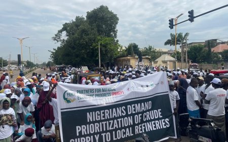 Protest in Kaduna over Dangote–PENGASSAN face-off