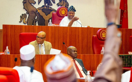 10th Senate passed over 90 bills, 52 signed into law — Akpabio’s aide