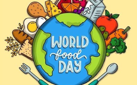 World Food Day: Lagos pushes for stronger partnerships on food security