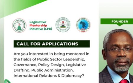 Gbajabiamila Legislative Mentorship Initiative (LMI) Fellowship For Nigerians 2025 | Fully Funded