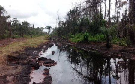 Oil spill pollutes Bayelsa communities