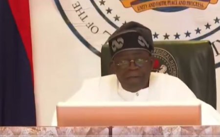 Tinubu presides over Police Council meeting