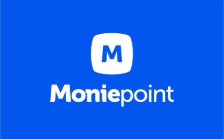 42% of SMEs can’t last a month without income — Moniepoint