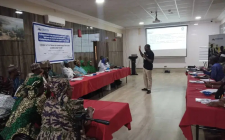 Incest rate in Osun alarming – Women advocacy group laments