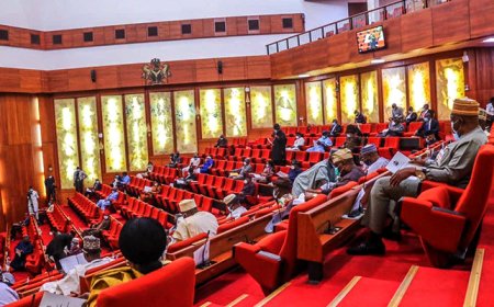 Senate gives Edun, Bagudu two weeks to present 2024 budget performance report