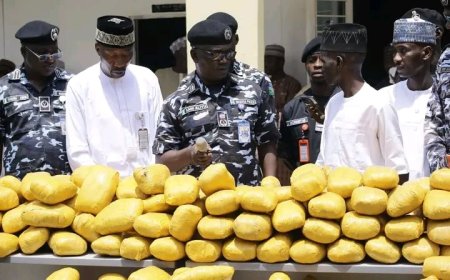 Police probe suspected cannabis after road accident in Bauchi