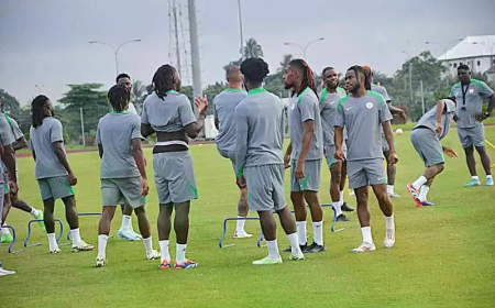 Super Eagles escape death as aircraft makes emergency landing in Luanda