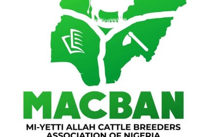 Miyetti Allah demands military probe over Kaduna killings