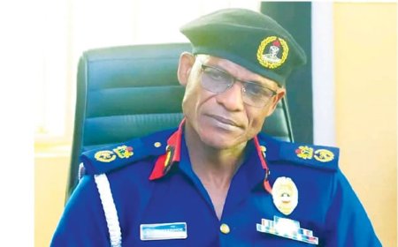 Bauchi NSCDC arrests telecoms cable thieves, others