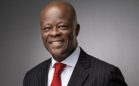 Edun: Ailing finance minister flown abroad for treatment