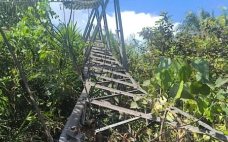 Vandals pull down power tower in Akwa Ibom