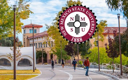 New Mexico State University Scholarship in USA 2026 | Fully Funded