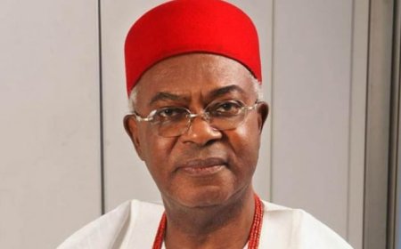 Obi of Onitsha laments N7.6tn S’East economic loss to insecurity