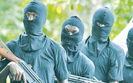 Seven killed as Kaduna bandits, illegal miners clash