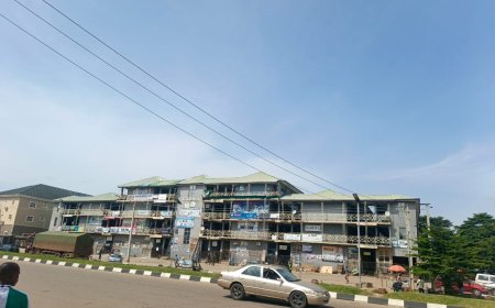 Abuja plaza closed after police fired teargas at protesters