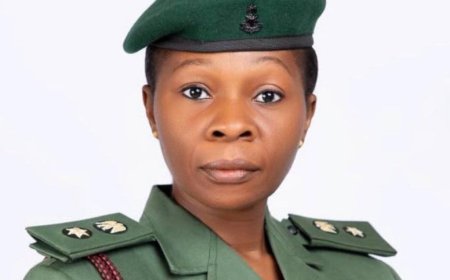 Terrorists kill soldiers in Borno clash