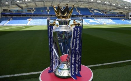 EPL coaches sacked over two seasons