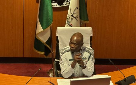 Customs unveil digital vehicle verification platform to curb smuggling