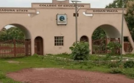 Kaduna college of education lecturers suspend strike action