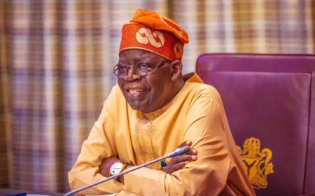 Tinubu nominates Bernard Doro as minister to replace Yilwatda