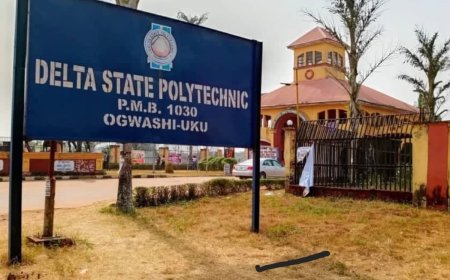 Alleged certificates racketeering in Delta Polytechnic under investigation — Governing Council