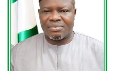 Tinubu approves two-year tenure extension for Surveyor-General