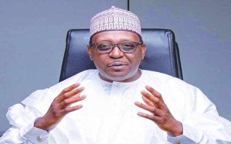 FG releases N32.9bn to boost primary healthcare