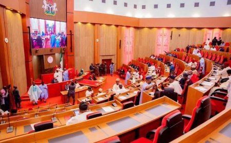 Senate urges tougher oversight to boost transparency in procurement