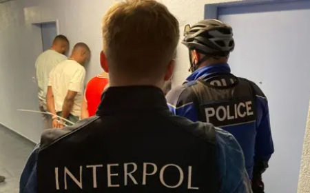 INTERPOL arrests 11 terror suspects in Nigeria