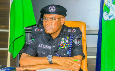 Police arrest two suspected bandits in Kano
