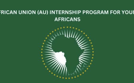2025 African Union Internship Program | How to Apply