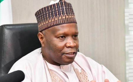 Gombe gov mourns 13 victims of Kano road crash