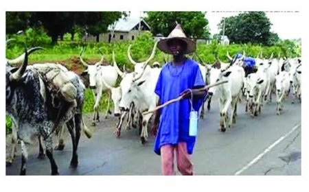 Church raises the alarm over herders’ invasion of Taraba communities