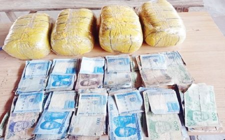 Police arrest three, seize N400,000 in Jigawa drug raid