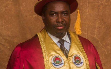 Anambra election: INEC chair pledges to fix network glitches