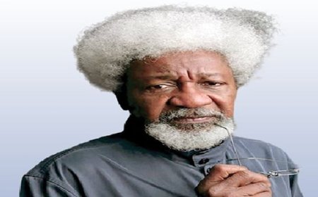 US revokes Wole Soyinka’s visa, nobel laureate expresses surprise