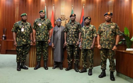 Senate to screen new service chiefs Wednesday